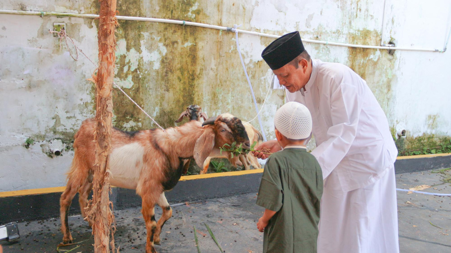 Berkurban sebagai Bentuk Penyerahan Diri kepada Allah SWT 